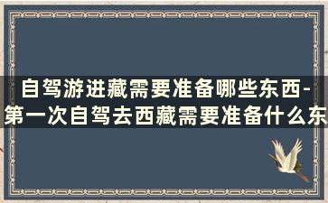 自驾游进藏需要准备哪些东西- 第一次自驾去西藏需要准备什么东西